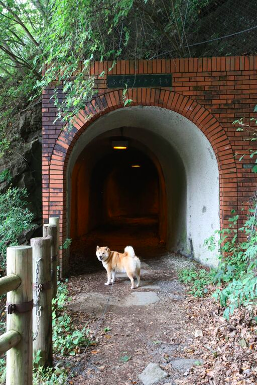 トンネルの入口