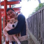 根津神社に東京大学…柴犬まる、聖地巡礼の旅に出る