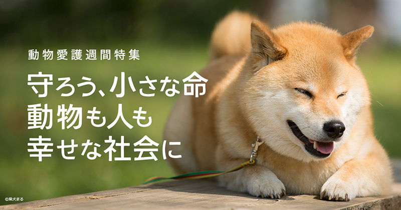 9月20日から26日は動物愛護週間！柴犬まる、東京ガーデンテラス紀尾井町へ行く