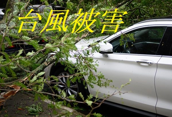 台風で自動車の損害を減らすには？台風や地震(天災)に対応した保険はある？